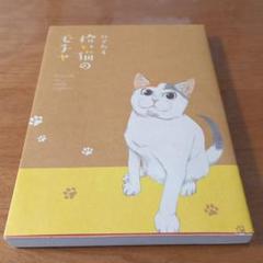 拾い猫のモチャの中古 未使用品 メルカリ