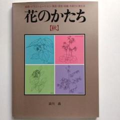 澁川矗、【つゆくさ】、希少な大判額装用画集より、美品、日本人画家 澁川矗、【つゆくさ】、希少な大判額装用画集より、美品、日本人画家