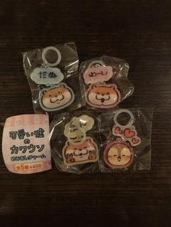 【ガチャガチャ】可愛い嘘のカワウソ　めじるしチャーム