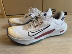 Nike Juniper Trail GORE-TEX 27.5cm