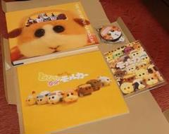 Amazon.co.jp: THE ART OF PUI PUI MOLCAR : 見里朝希, シンエイ