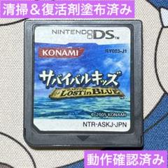 サバイバルキッズ LOST in BLUE 【DS9