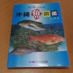 沖縄魚図鑑の中古 新品通販 メルカリ No 1フリマアプリ