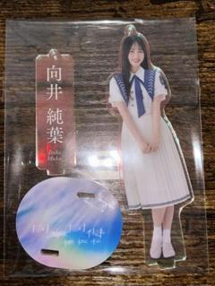 櫻坂46 自業自得 アクリルスタンド 向井純葉 商品詳細ページ | 櫻坂46 OFFICIAL GOODS STORE | 【通常配送