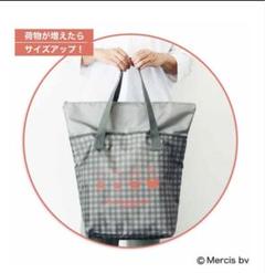 リンネル2025年９月号　ミッフィー誕生70周年記念保冷ビッグトートバッグ