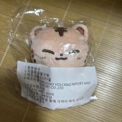 seventeenぬいぐるみ　ホシ　10センチ　マスター　正規品⭐️ SEVENTEEN ホシ ぬいぐるみ 10センチ マスター グッズ セブチ