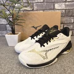 MIZUNO - ミズノテニスシューズ　ウエーブエクシードツアー4OC 楽天市場】【62%OFF！】 ミズノ 【MIZUNO】 レディース