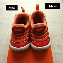 NIKE　ダイナモフリー　14cm　レッド