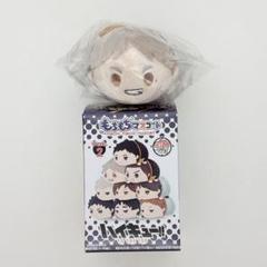 もちもちマスコット 菅原 ハイキュー 菅原孝支 もちもちマスコット もちマス ぬいぐるみ