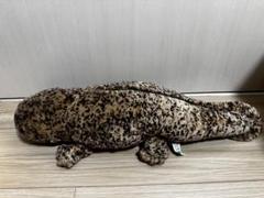 京都水族館　オオサンショウウオ　ぬいぐるみセット　大　中　小 2025年最新】京都水族館 オオサンショウウオ ぬいぐるみの人気