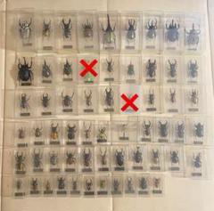 ディアゴスティーニ 世界の昆虫フィギュア 58種　セット ディアゴスティーニ 世界の昆虫フィギュア 58種 セット - メルカリ