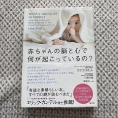 赤ちゃんの脳と心で何が起こっているの?