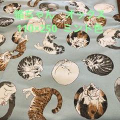 猫柄　オックス　ミント色　110×250