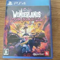 匿名発送 ワンダーランズ タイニーティナと魔法の世界 PS4