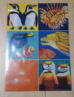 宮島水族館　クリアフォルダ
