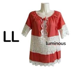 W⑥ チュニック 半袖 トップス LL ブラウス 大きいサイズ レディース 4