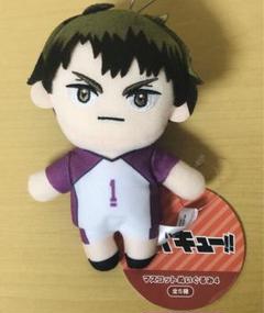 【最終値下げ】牛島若利 ぬい まとめ売り クレーン ゲーム 猫 ハイキュー 牛島若利 ぬいぐるみ - メルカリ