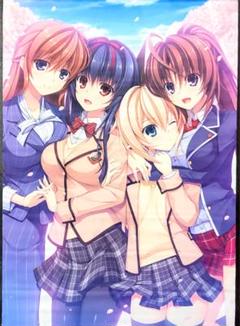 タペストリー　[サイン入り] 希美＆咲良＆エレクトリーチカ＆小町 B2タペストリー 「PRETTY×CATION」 2025年最新】Yahoo!オークション -pretty× cationの中古品・新品