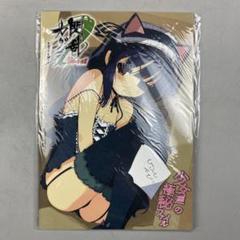 新品未開封品　閃乱カグラBurst紅蓮の少女達 予約特典 少女達の極秘ファイル