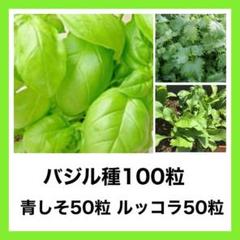 スイートバジル種100粒 青しそ種50粒 ルッコラ種50粒