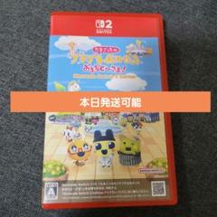 Switch2 たまごっちのぷちぷちおみせっちソフト
