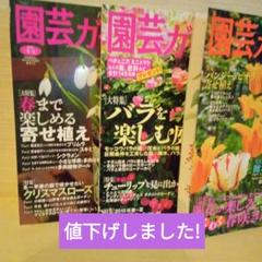 園芸ガイド 春まで楽しめる寄せ植え