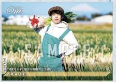 エポック社の公式オンラインショップです。【藤井聡太】特産の