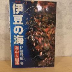 2025年最新】ウミウシ図鑑の人気アイテム - メルカリ