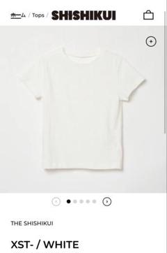 お値下げ！SHISHIKUI シシクイ gobu M Tシャツ　トップス お値下げ！SHISHIKUI シシクイ gobu M Tシャツ トップス トップス