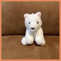 くったり柴犬  VMC コンプリート ≪11月の新商品≫くったり柴犬☆アミューズプライズ-NEW ITEM