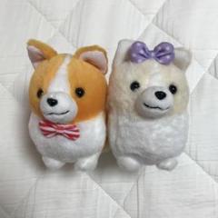 いちにのコーギー BIGぬいぐるみ 全3種 いちにのコーギーBIG｜タイトーの10月のおすすめプライズ