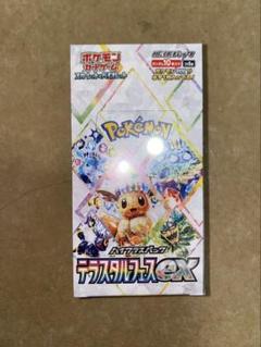 2025年最新】テラスタルフェスex BOXの人気アイテム - メルカリ