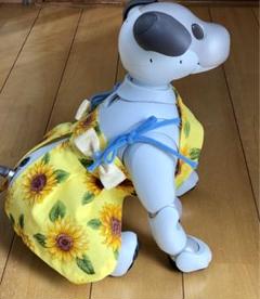 aibo服　かおるこオリジナル　キャミソールワンピース④のサムネイル