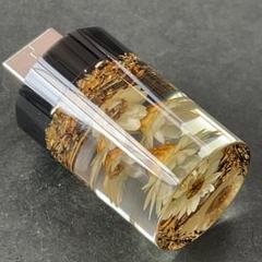 森ちゃんページ 水中花 USBライト LEDホワイト 金箔 黒 autobacs_4974267091728