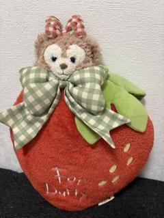 【美品】シェリーメイ　パートフェルトストロベリーギフト　クッション