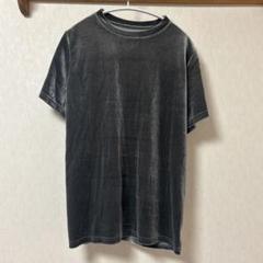 ベロアtシャツ