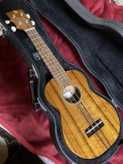 美品★整備済み DCT H-310ME オールマホガニー　トップ単板　ケース付き BONA FIDE PRODUCT G-310 TOMIX製車両用愛称幕部、妻面貫通ドア