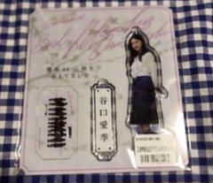 サクコイ 谷口愛季 第4回カレシイベント　リアル特典 アクリルスタンドのみ サクコイ 谷口愛季 第4回カレシイベント リアル特典 アクリル