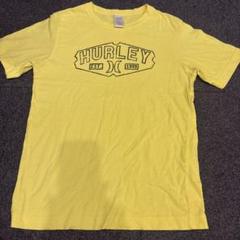 ハーレー　Tシャツ　150