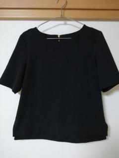 アダムエロペ