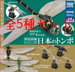 原色図鑑 日本のトンボ 全5種セット - メルカリ