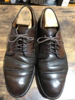 ALDEN オールデン ストレートチップ コードバン 95738F