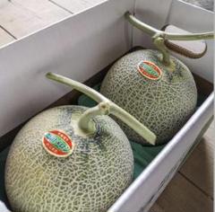 北海道 富良野メロン 赤肉 4～7玉 高級 有機肥料 超減農薬（5） 北海道富良野メロン赤肉 4～7玉高級有機肥料 超減農薬 8kg超（124）