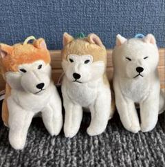 2025年最新】ほっこり秋田犬の人気アイテム - メルカリ