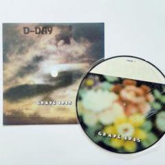 【極美品】D-DAY／GRAPE IRIS　LPレコード　ピクチャーディスク