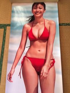 佐野ひなこ 等身大ポスター 赤ビキニで挑発 佐野ひなこ 等身大ポスター 赤ビキニで挑発 - メルカリ