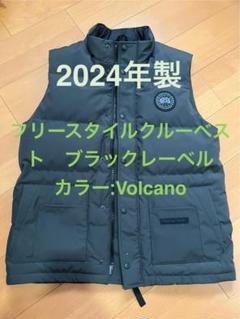 2025年最新】カナダグースダウンベストmの人気アイテム - メルカリ
