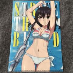 ストライク・ザ・ブラッド 姫柊雪菜 クリアファイル B5