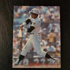 カルビー野球カード 82年 No.572 掛布雅之 (阪神タイガース