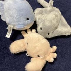 もこもこぬいぐるみ、海の生き物、3匹